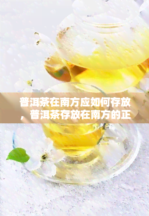 普洱茶在南方应如何存放，普洱茶存放在南方的正确方式