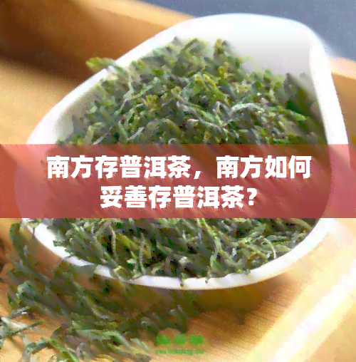 南方存普洱茶，南方如何妥善存普洱茶？