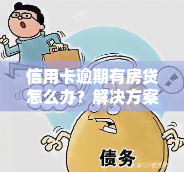 信用卡逾期有房贷怎么办？解决方案全解析