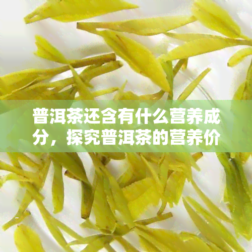 普洱茶还含有什么营养成分，探究普洱茶的营养价值：除了口感，它还含有哪些营养成分？