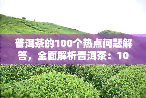 普洱茶的100个热点问题解答，全面解析普洱茶：100个热点问题大公开！