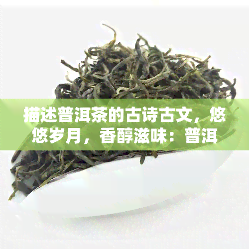 描述普洱茶的古诗古文，悠悠岁月，香醇滋味：普洱茶的历与文化探秘