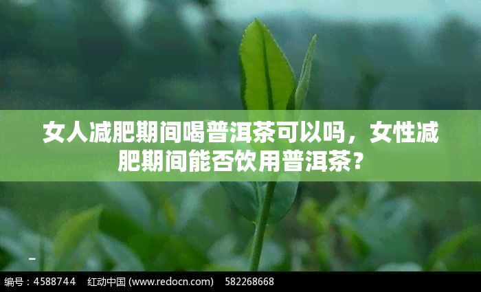 女人减肥期间喝普洱茶可以吗，女性减肥期间能否饮用普洱茶？