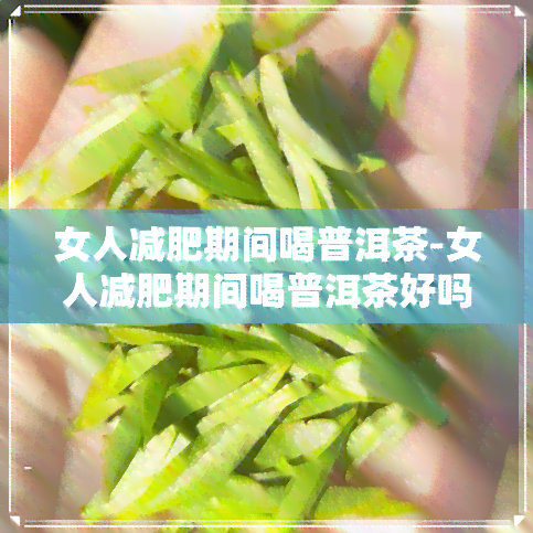 女人减肥期间喝普洱茶-女人减肥期间喝普洱茶好吗