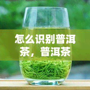 怎么识别普洱茶，普洱茶入门指南：如何识别真假普洱茶？