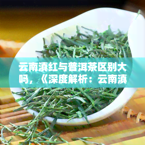 云南滇红与普洱茶区别大吗，《深度解析：云南滇红与普洱茶的区别》