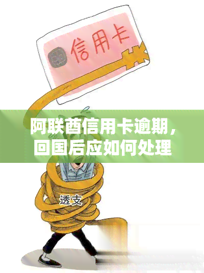 阿联酋信用卡逾期，回国后应如何处理？