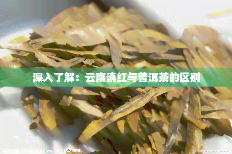 深入了解：云南滇红与普洱茶的区别