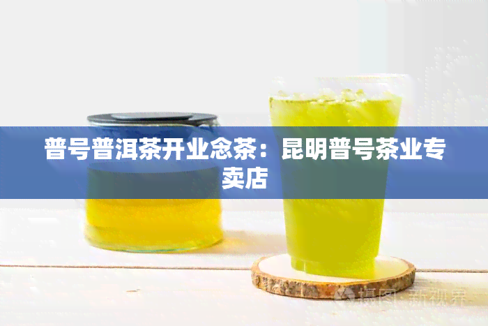 普号普洱茶开业念茶：昆明普号茶业专卖店