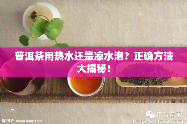 普洱茶用热水还是凉水泡？正确方法大揭秘！