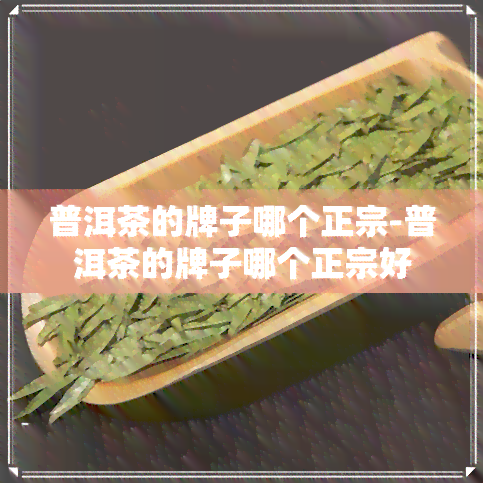 普洱茶的牌子哪个正宗-普洱茶的牌子哪个正宗好