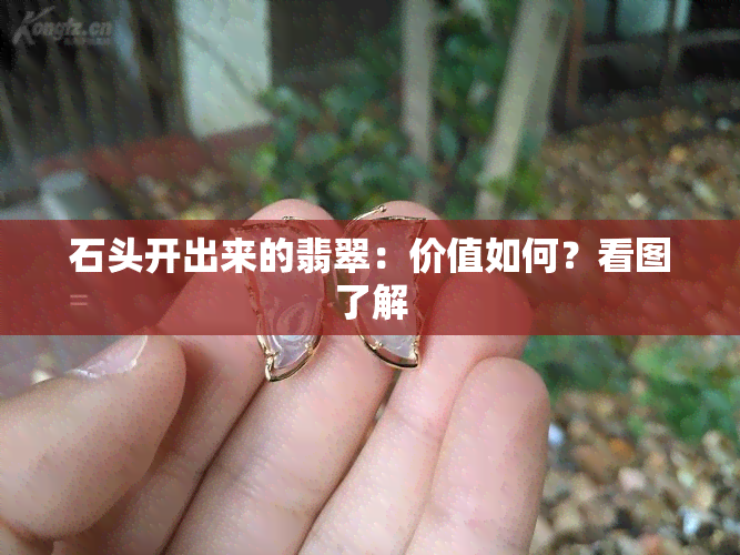 石头开出来的翡翠：价值如何？看图了解