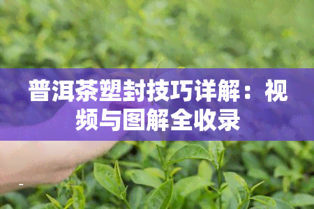 普洱茶塑封技巧详解：视频与图解全收录