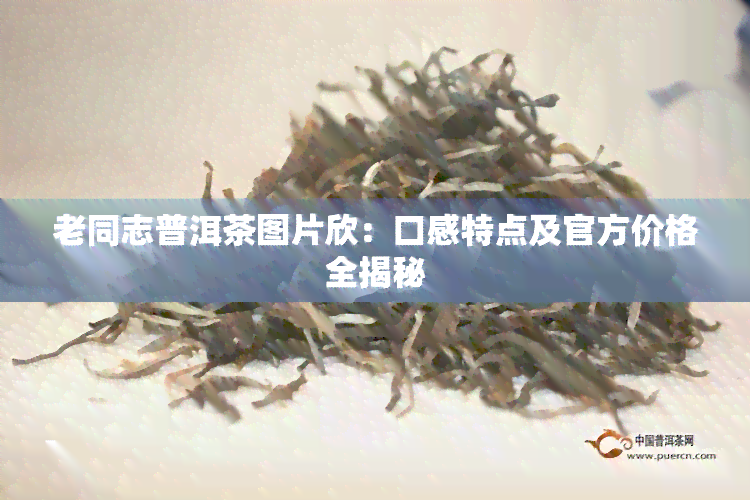 老同志普洱茶图片欣：口感特点及官方价格全揭秘