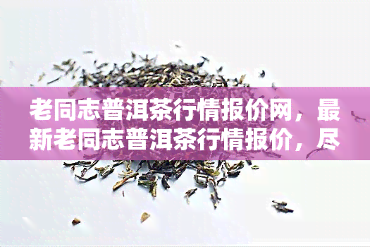 老同志普洱茶行情报价网，最新老同志普洱茶行情报价，尽在【老同志普洱茶行情报价网】