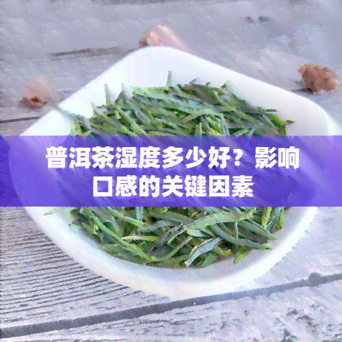 普洱茶湿度多少好？影响口感的关键因素