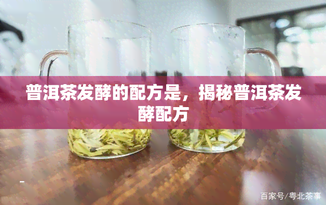 普洱茶发酵的配方是，揭秘普洱茶发酵配方