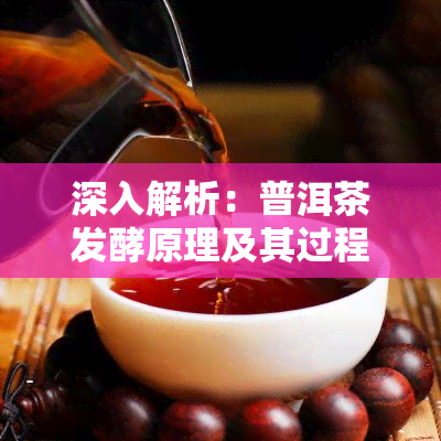 深入解析：普洱茶发酵原理及其过程