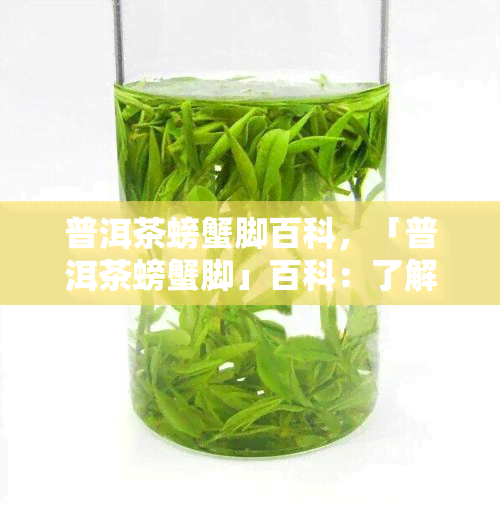 普洱茶螃蟹脚百科，「普洱茶螃蟹脚」百科：了解这种独特的茶叶与美食的完美结合