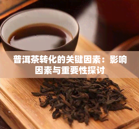 普洱茶转化的关键因素：影响因素与重要性探讨