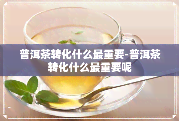 普洱茶转化什么最重要-普洱茶转化什么最重要呢