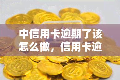 中信用卡逾期了该怎么做，信用卡逾期怎么办？你需要知道的解决方法