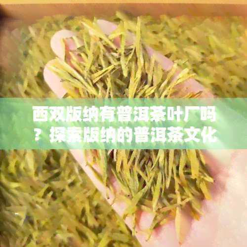 西双版纳有普洱茶叶厂吗？探索版纳的普洱茶文化