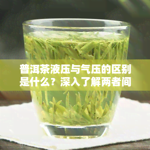 普洱茶液压与气压的区别是什么？深入了解两者间的不同