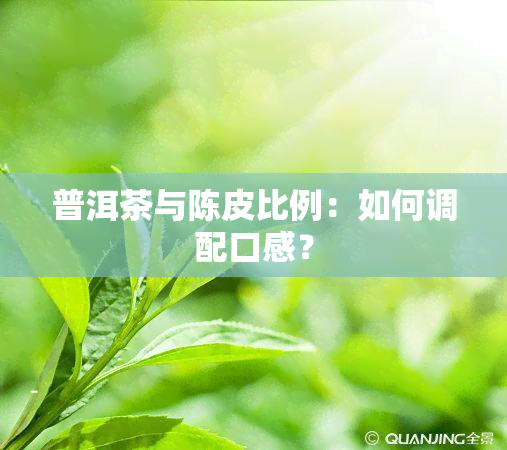 普洱茶与陈皮比例：如何调配口感？