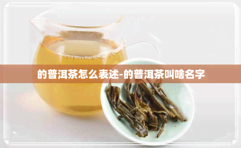 的普洱茶怎么表述-的普洱茶叫啥名字