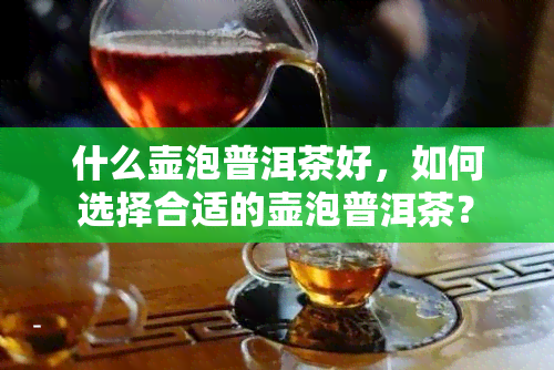 什么壶泡普洱茶好，如何选择合适的壶泡普洱茶？