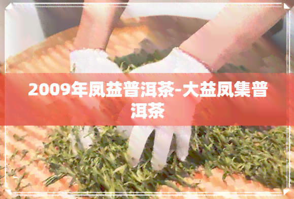 2009年凤益普洱茶-大益凤集普洱茶