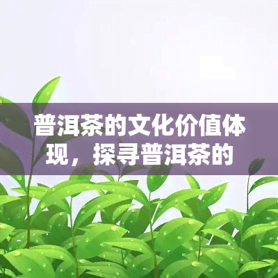 普洱茶的文化价值体现，探寻普洱茶的文化魅力：一种独特的生活方式和价值观的体现