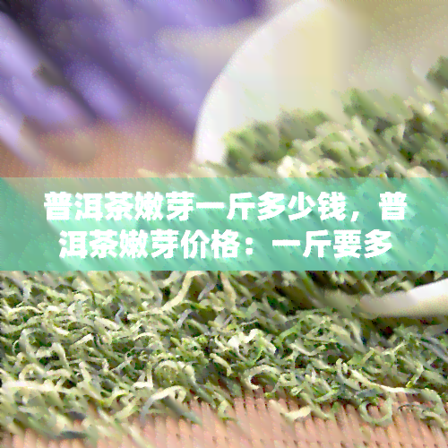 普洱茶嫩芽一斤多少钱，普洱茶嫩芽价格：一斤要多少？