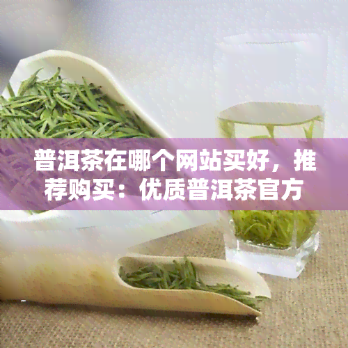 普洱茶在哪个网站买好，推荐购买：优质普洱茶官方网站