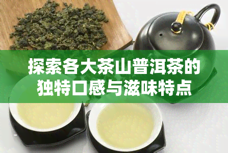 探索各大茶山普洱茶的独特口感与滋味特点