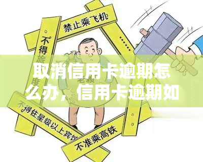 取消信用卡逾期怎么办，信用卡逾期如何解决：取消后的应对策略