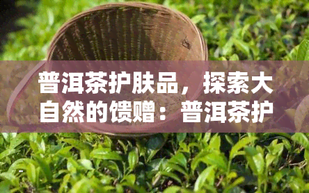 普洱茶护肤品，探索大自然的馈赠：普洱茶护肤，让你焕发健光彩