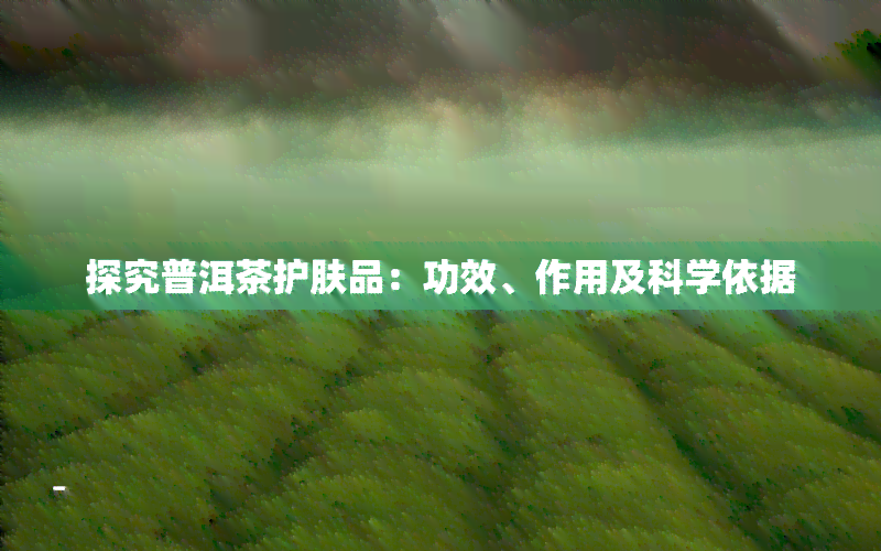 探究普洱茶护肤品：功效、作用及科学依据