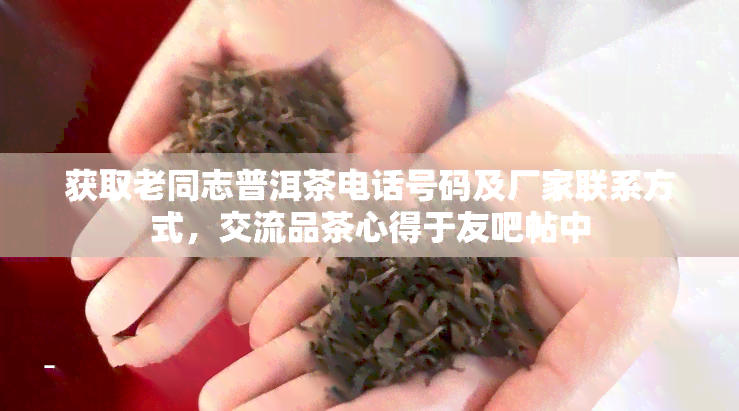 获取老同志普洱茶电话号码及厂家联系方式，交流品茶心得于友吧帖中