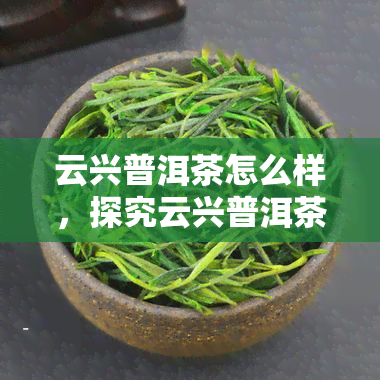 云兴普洱茶怎么样，探究云兴普洱茶的品质与口感，它是如何赢得大茶友喜爱的？