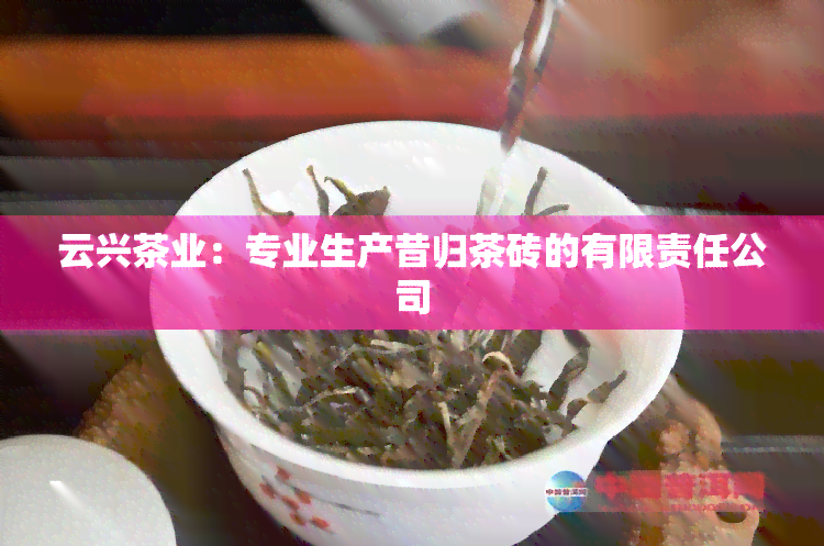 云兴茶业：专业生产昔归茶砖的有限责任公司