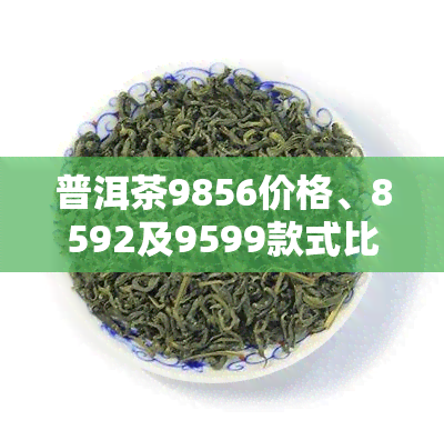 普洱茶9856价格、8592及9599款式比较与购买建议