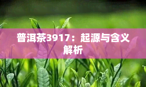 普洱茶3917：起源与含义解析