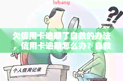 欠信用卡逾期了自救的办法，信用卡逾期怎么办？自救指南