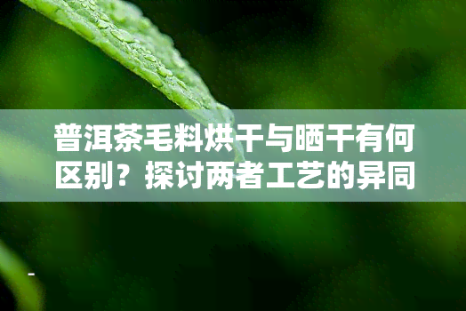 普洱茶毛料烘干与晒干有何区别？探讨两者工艺的异同