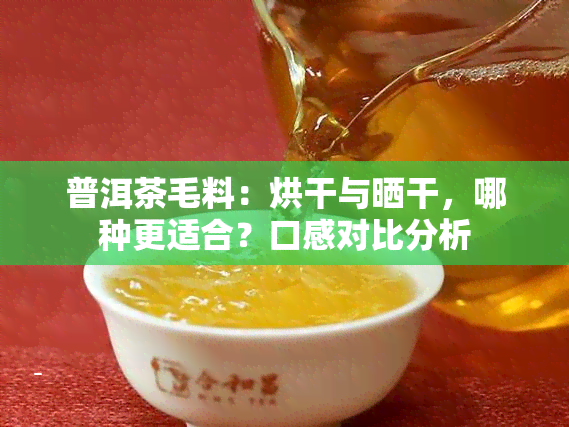 普洱茶毛料：烘干与晒干，哪种更适合？口感对比分析