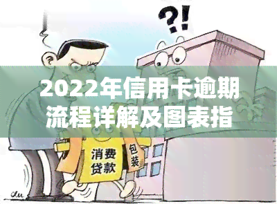 2022年信用卡逾期流程详解及图表指南