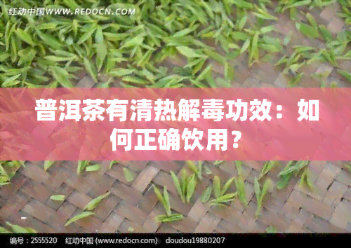 普洱茶有清热解功效：如何正确饮用？