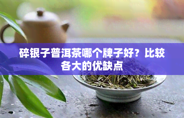 碎银子普洱茶哪个牌子好？比较各大的优缺点